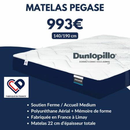 Matelas PEGASE 140x190 cm